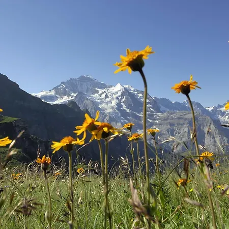 Pasta&more 3* Wengen
