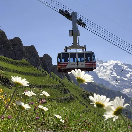 Bed & Breakfast Pasta&more 3*