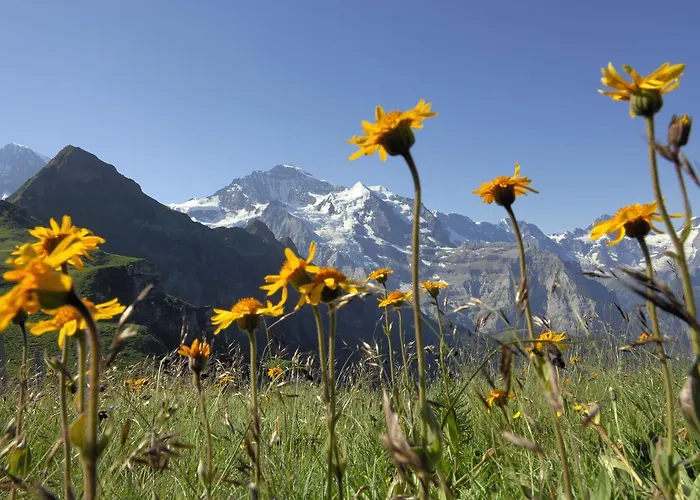 Pasta&more 3* 벤겐