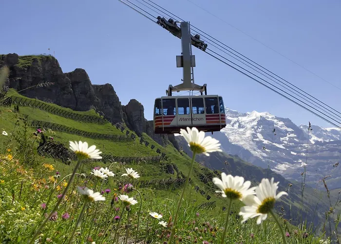 Nocleg ze śniadaniem Pasta&more 3*